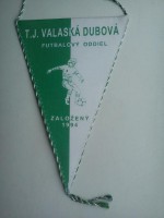 /album/valaska-dubova/valaska-dubova-tj-29-jpg/